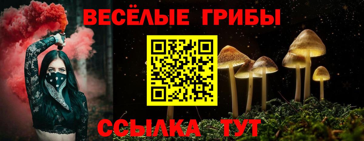 Галлюциногенные грибы прущие грибы  купить наркоту  Павлово  Вход с VPN 